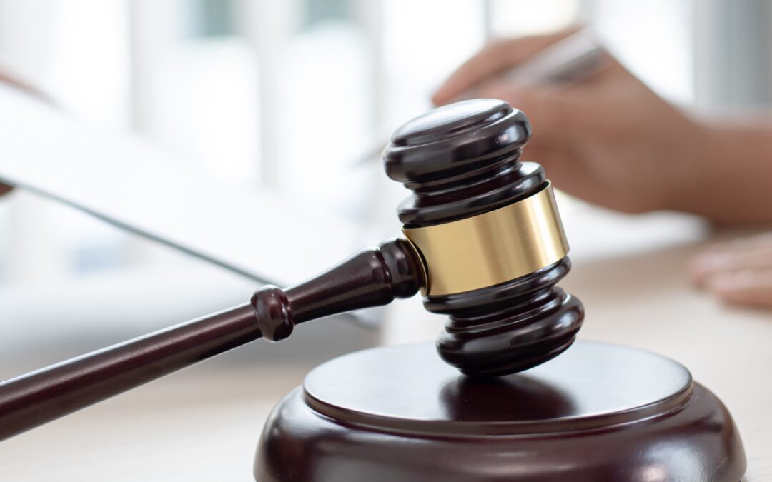 Types of Litigation Law